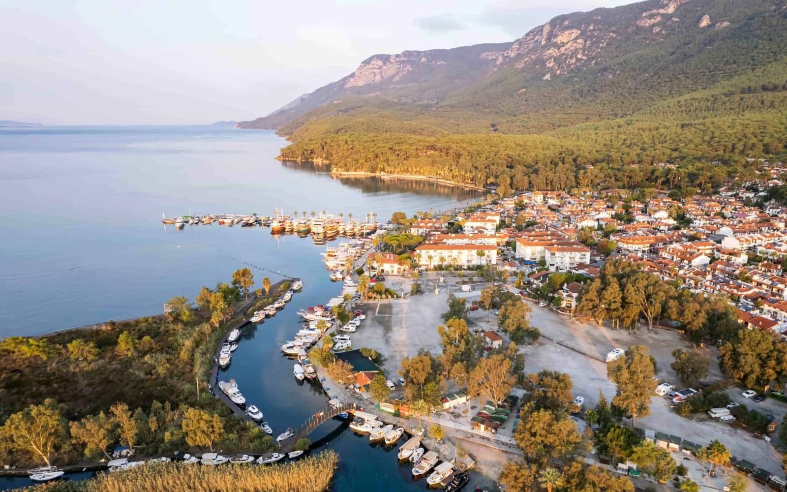 Gökova ve Akyaka'da Botanik Tarımın Geleceği